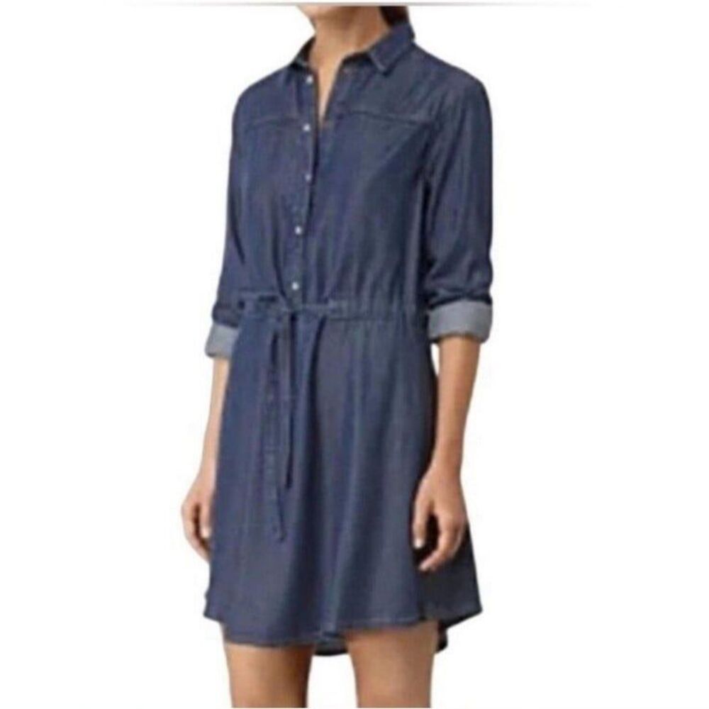 Allsaints dress